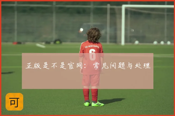 正版是不是官网：常见问题与处理